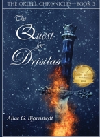 The Quest for Drisilas 1737526255 Book Cover