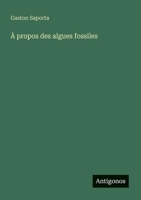 À propos des algues fossiles 3385011787 Book Cover