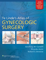 Techniques in Pelvic and Reconstructive Surgery 160831068X Book Cover