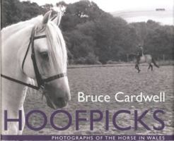 Hoofpicks: Photographs of the Horse in Wales 1854114980 Book Cover