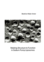 Relating Structure to Function in Sodium Pump Liposomes 132642291X Book Cover