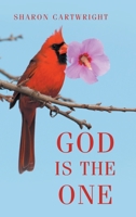 God is the One 1685707343 Book Cover