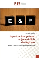 Équation énergétique: enjeux et défis stratégiques: Recueil d'articles et interviews sur l’énergie 6138460944 Book Cover