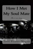 How I Met My Soul Mate 1492942200 Book Cover