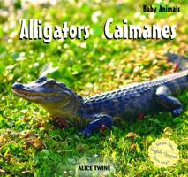 Caimanes/Alligators (Baby Animals/Animales Beb') 1404276823 Book Cover
