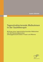 Tagesstrukturierende Maßnahmen in der Suchttherapie 3836685825 Book Cover