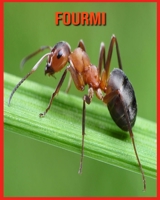 Fourmi: Images Etonnantes & Informations Amusantes Concernant les Animaux dans la Nature B08WJTPSP6 Book Cover