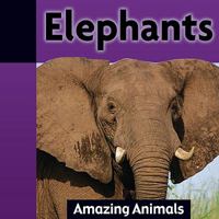 Elephants (Amazing Animals Series) 1583402276 Book Cover