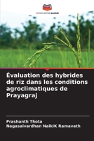 Évaluation des hybrides de riz dans les conditions agroclimatiques de Prayagraj (French Edition) 6207186931 Book Cover