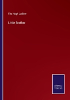 Little Brother 3752572825 Book Cover