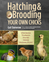 Hatching Brooding Your Own Chicks: Chickens, Turkeys, Ducks, Geese, Guinea Fowl 1612120148 Book Cover
