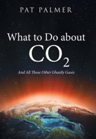 What to Do About Co2: And All Those Other Ghastly Gases 166572448X Book Cover