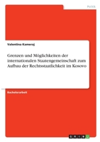 Grenzen und M�glichkeiten der internationalen Staatengemeinschaft zum Aufbau der Rechtsstaatlichkeit im Kosovo 3346300005 Book Cover