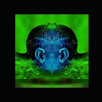 Anonemis VI B086PRLZCC Book Cover