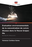 Évaluation environnementale de la concentration de cuivre dissous dans le fleuve Grajaú-Ma (French Edition) 6209470238 Book Cover
