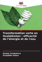 Transformation verte en Ouzbékistan: efficacité de l'énergie et de l'eau (French Edition) 6209798772 Book Cover