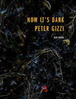 Now It's Dark 0819579874 Book Cover