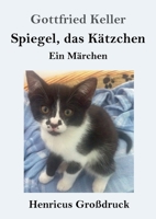 Spiegel, das Kätzchen (Vollständige Ausgabe): Zauberer-Geschichte aus dem Mittelalter 8027319862 Book Cover