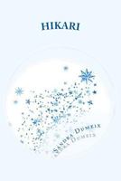 Hikari 1981430806 Book Cover