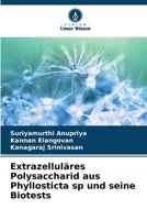 Extrazelluläres Polysaccharid aus Phyllosticta sp und seine Biotests (German Edition) 6208560616 Book Cover