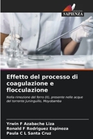 Effetto del processo di coagulazione e flocculazione: Nella rimozione del ferro (II), presente nelle acque del torrente Juninguillo, Moyobamba 6205899574 Book Cover