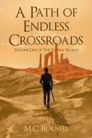 A Path of Endless Crossroads (The Tipping World) B0DZR3MWS4 Book Cover