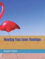 Meeting Your Inner Flamingo B0HCYJGF3M Book Cover
