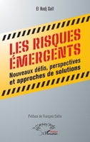 Les risques émergents: Nouveaux défis, perspectives et approches de solutions 2336415674 Book Cover