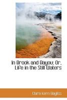 In Brook and Bayou; Or, Life in the Still Waters 1437082823 Book Cover