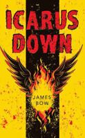 Icarus Down 1443139130 Book Cover