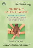 Meddyg y Galon Glwyfus - Gofal am Iechyd Meddwl a Chymwynas Fawr Dr David Enoch 1859949428 Book Cover