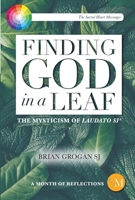 Finding God in a Leaf: The Mysticism of Laudato Si' 1788120043 Book Cover
