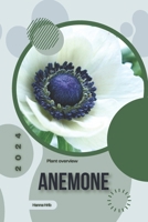 Anemone: Simply beginners guide B0CVXWRRTZ Book Cover