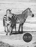 2020-2021 Two Year Planner: Black And White Zebra Planner January 1, 2020 to December 31, 2021 Weekly & Monthly Planner + Calendar Views 2 Year Calendar 24 Month Agenda Planner Gift For Zebra Lovers 1677435461 Book Cover