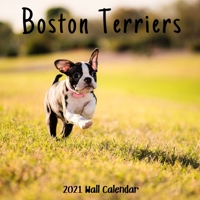 Boston Terriers 2021 Wall Calendar: Boston Terriers Calendar 2021, 18 Months. B08PXFV5RY Book Cover