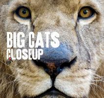 Big Cats CloseUp 1742032044 Book Cover