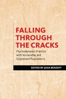Falling Through the Cracks: Psychodynamic Practice with Vulnerable and Oppressed Populations 023115108X Book Cover
