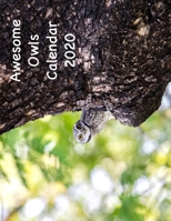 Awesome Owls Calendar 2020 1697360211 Book Cover