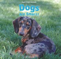 Dogs Are Smart! 1435893743 Book Cover