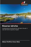 Risorse idriche (Italian Edition) 6207180003 Book Cover