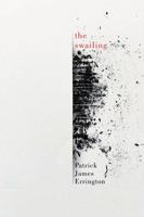 The Swailing (Hugh MacLennan Poetry Series, Book 76) 0228016754 Book Cover