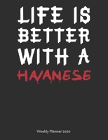 Life is Better With A Havanese Weekly Planner 2020: Weekly Calendar / Planner Gift, 156 Pages, 8.5x11, Soft Cover, Matte Finish 1677029625 Book Cover