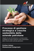 Processo di gestione strategica e crescita sostenibile delle aziende pakistane (Italian Edition) 6209374662 Book Cover