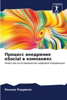Процесс внедрения eSocial в ком 6206852504 Book Cover