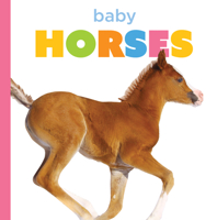 Baby Horses (Starting Out) B0H5R6NHP9 Book Cover