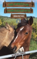 The Horses of Saddlers Ranch: Brownie 1037123743 Book Cover