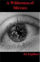 A Wilderness of Mirrors 0998872350 Book Cover