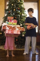 The Jingle-Jangle Journey A Treasury of Christmas Tales B0FVY617KF Book Cover