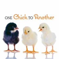 One Chick to Another 142361836X Book Cover