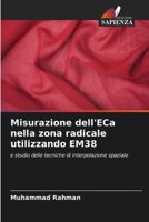 Misurazione dell'ECa nella zona radicale utilizzando EM38 (Italian Edition) 620935436X Book Cover